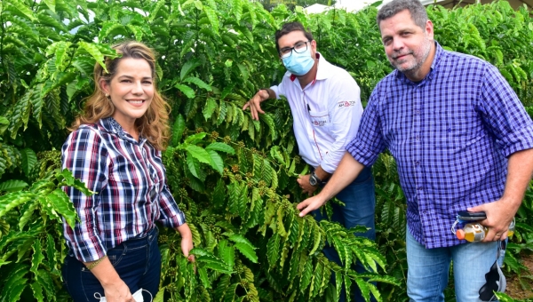  Mara e Rocha participam de dia de campo em Acrelândia e anunciam investimentos na construção de polos de beneficiamento do café